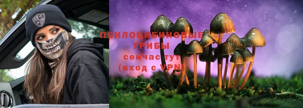 ГАЛЛЮЦИНОГЕННЫЕ ГРИБЫ Балабаново