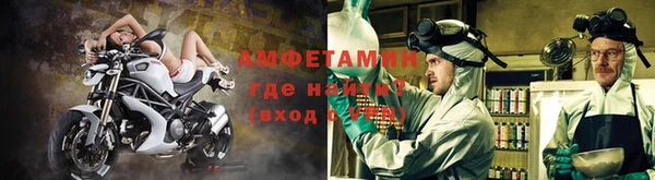 ГАЛЛЮЦИНОГЕННЫЕ ГРИБЫ Балабаново